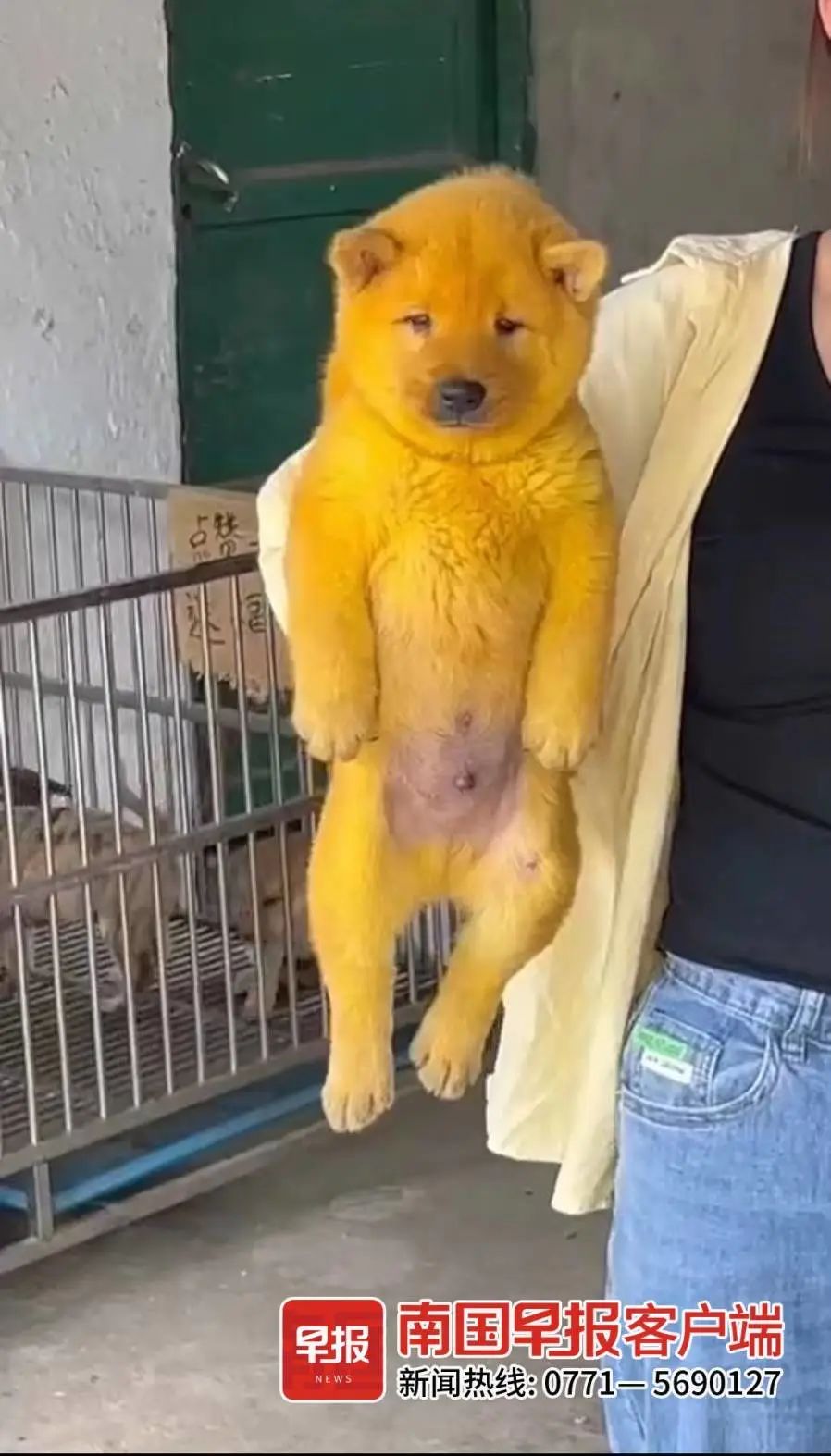 DƬ